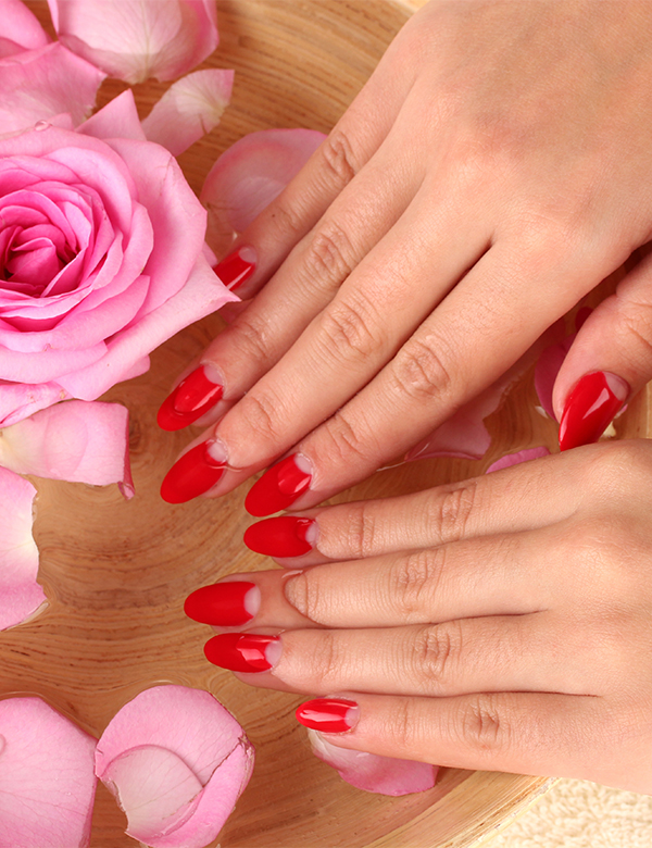 Nails First Salon & Spa in Louisville KY 40291 Service Additional